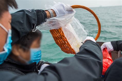 骨灰撒大海意义|海葬：海洋环保与生命永续的结合